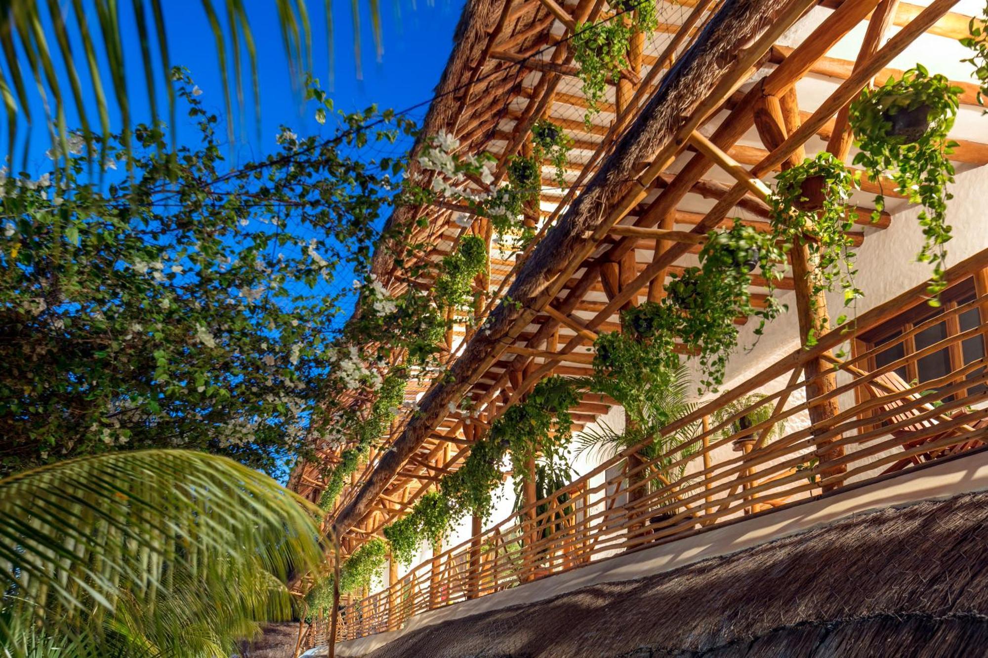 Hotel La Palma Holbox Esterno foto